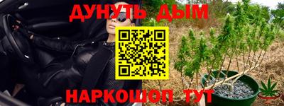 мяу мяу мука Бердск