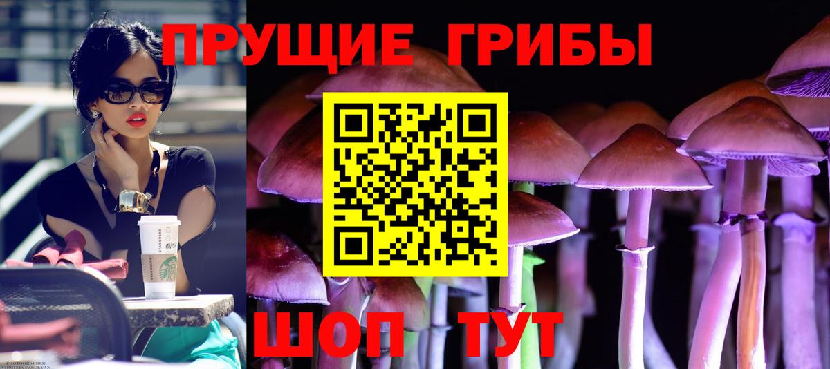 Псилоцибиновые грибы мицелий Дубна