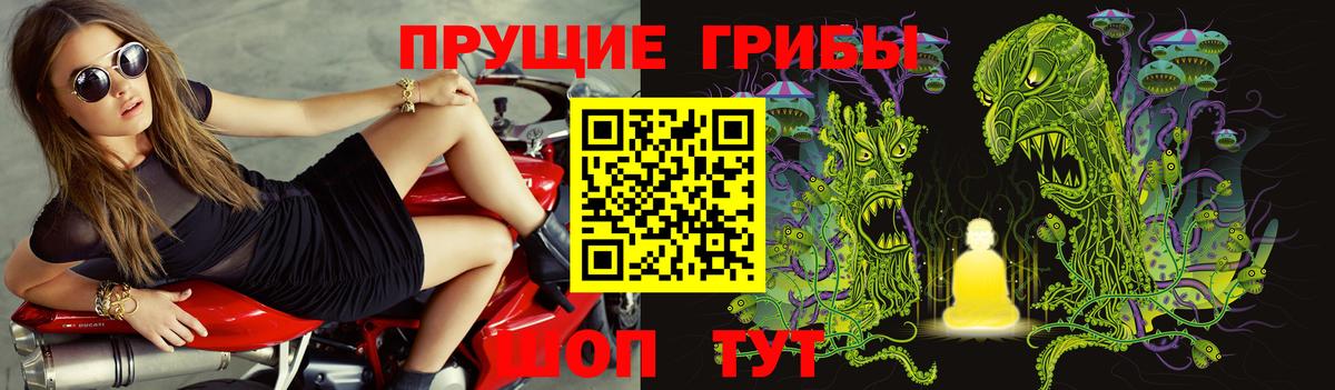 Дубна  Псилоцибиновые грибы мицелий  Вход с VPN 